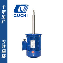 YS化工泵專用電機