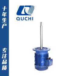 長(zhǎng)軸化工專用電機(jī)