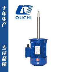 YS化工泵專用電機