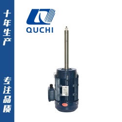 非標定制系列長軸電機